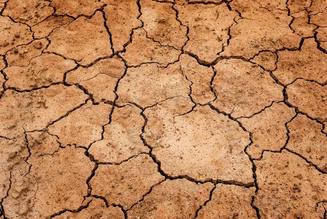 cambio climático